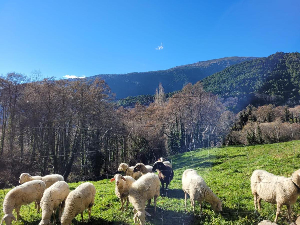El Atico De Mijares 게스트하우스 외부 사진